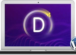 Autoresponder for Divi Forms
